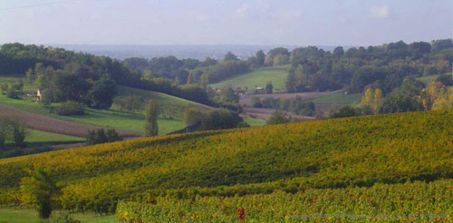 Chateau Lary - Photo